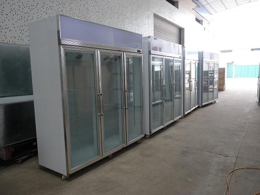 Dell'acciaio inossidabile congelatore commerciale -25°C dell'esposizione verticalmente con luce verticale